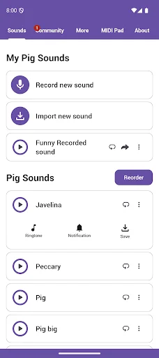 Download Pig Sounds Terbaru – Aplikasi Suara Babi Lucu Gratis description image 1