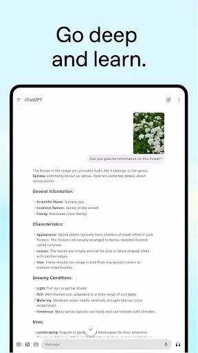 Download ChatGPT Terbaru – Asisten AI Cerdas Gratis di HP description image 16