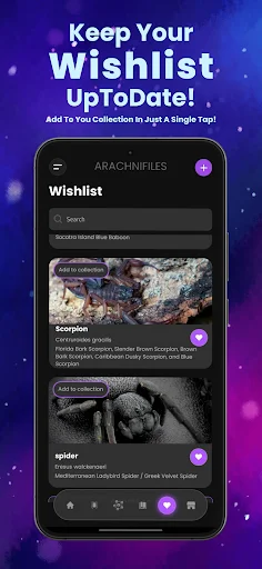 Download Arachnifiles: Pet Tracker Terbaru – Pantau Laba-laba Anda description image 6