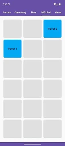 Download Parrot Sounds Terbaru – Suara Burung Keren Gratis description image 5