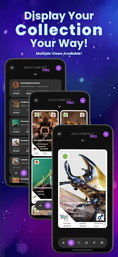 Download Arachnifiles: Pet Tracker Terbaru – Pantau Laba-laba Anda description image 3