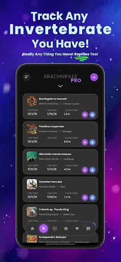 Download Arachnifiles: Pet Tracker Terbaru – Pantau Laba-laba Anda description image 1