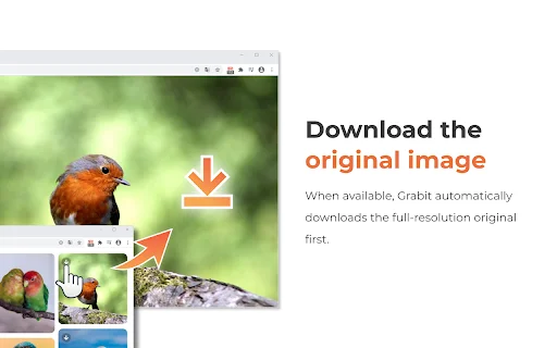 Download Grabit Image Downloader – Simpan Gambar Sekali Klik description image 3
