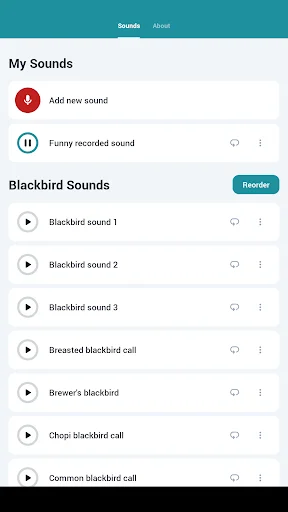 Download Blackbird Sounds Terbaru – Melodi Alam Gratis description image 7