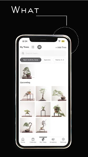 Download Mirai Mobile Terbaru – Panduan Bonsai Profesional description image 8